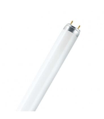 Lampada fluorescente 51W 840 G13 ES Lunghezza 1500mm 9036-12149