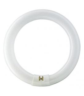 Philips Master TL-E 32W 840 Super 80 G10q