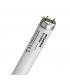 FoodStar Meat T8 F36W 176 1 G13 970mm Tubes fluorescents 9875-14418