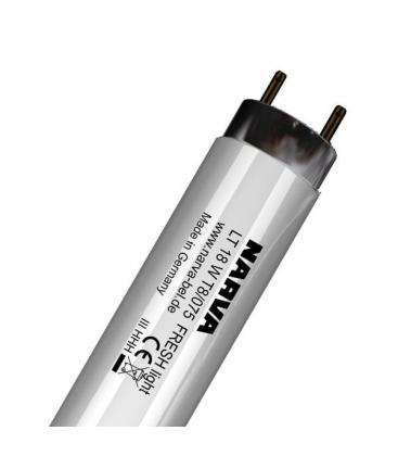 Fresh Light Leuchtstoffröhre T8 LT 18W 075 G13 Lebendige Ausleuchtung von Lebensmitteln 10091-15219