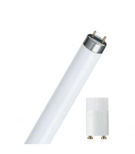 Juego de ahorro de energía para lámparas fluorescentes Master TL-D 37 58W 840 G13