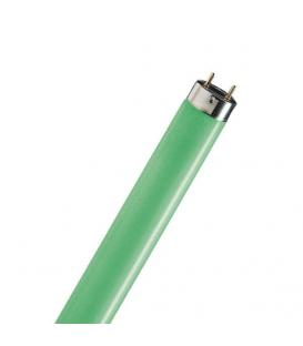 TL-D 18W 17 G13 Verde