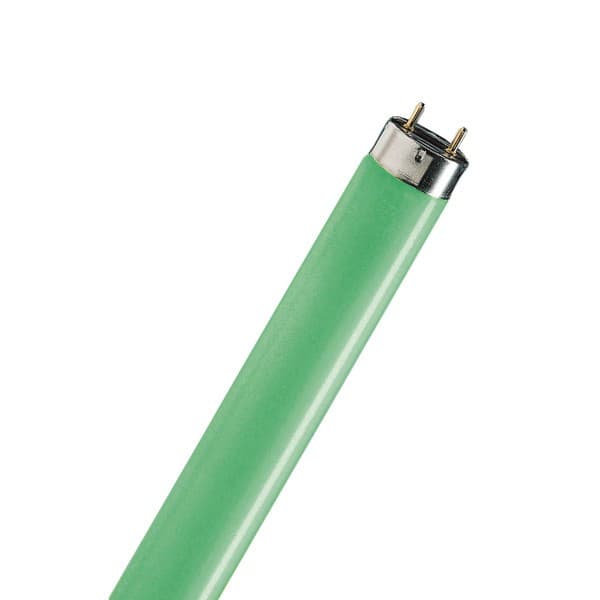 philips tl d 18w 17 green