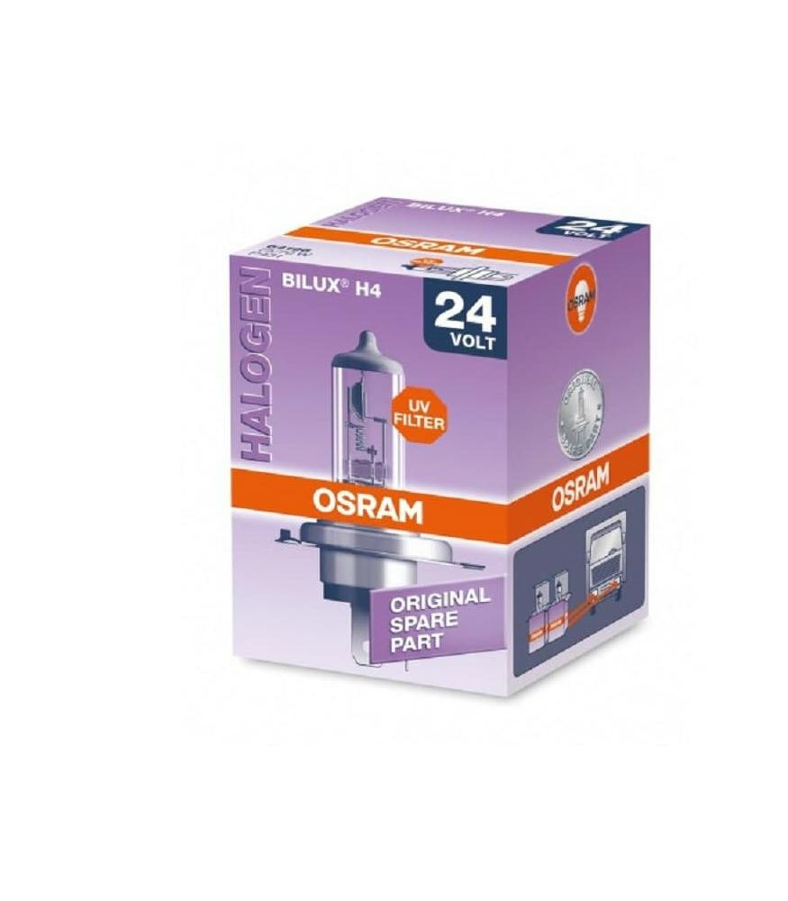 MAXTER Ampoule 24V 21W