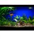 Aquastar T8 F36W 174 10000K G13 rastlinska  8698-18468