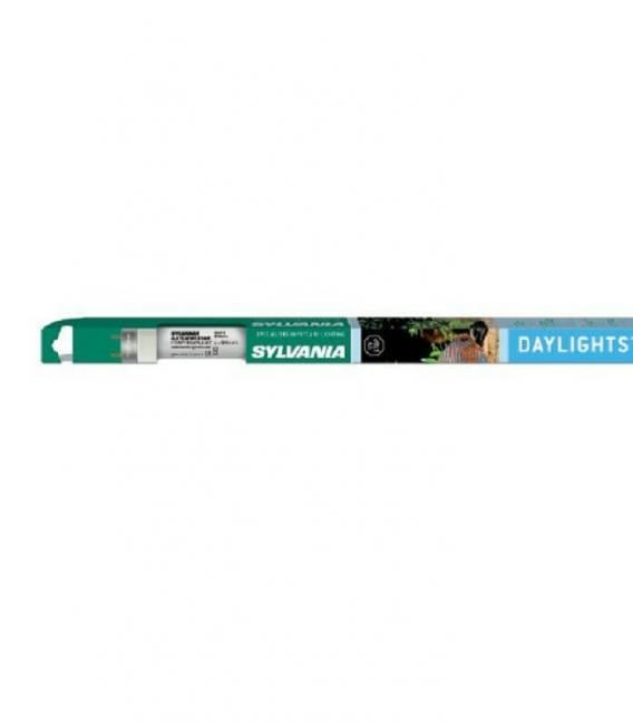 Lampadina Daylightstar T8 F30W 5000K G13 – Foto