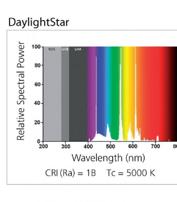 Daylightstar T8 F36W 5000K G13 Glühbirne – foto