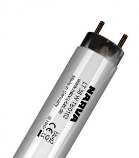 T8 LT 36W 0182 G13 colour Blu