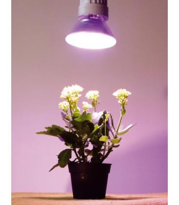 Riflettore per lampade per piante 15W 827 E27 Apparecchio di illuminazione per la crescita 10713-21182