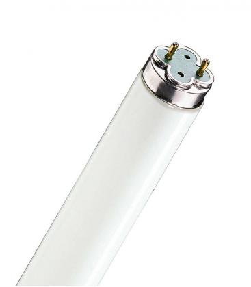 Leuchtstofflampe 58W 865 G13 Xtra Beleuchtungslösung 10905-22222