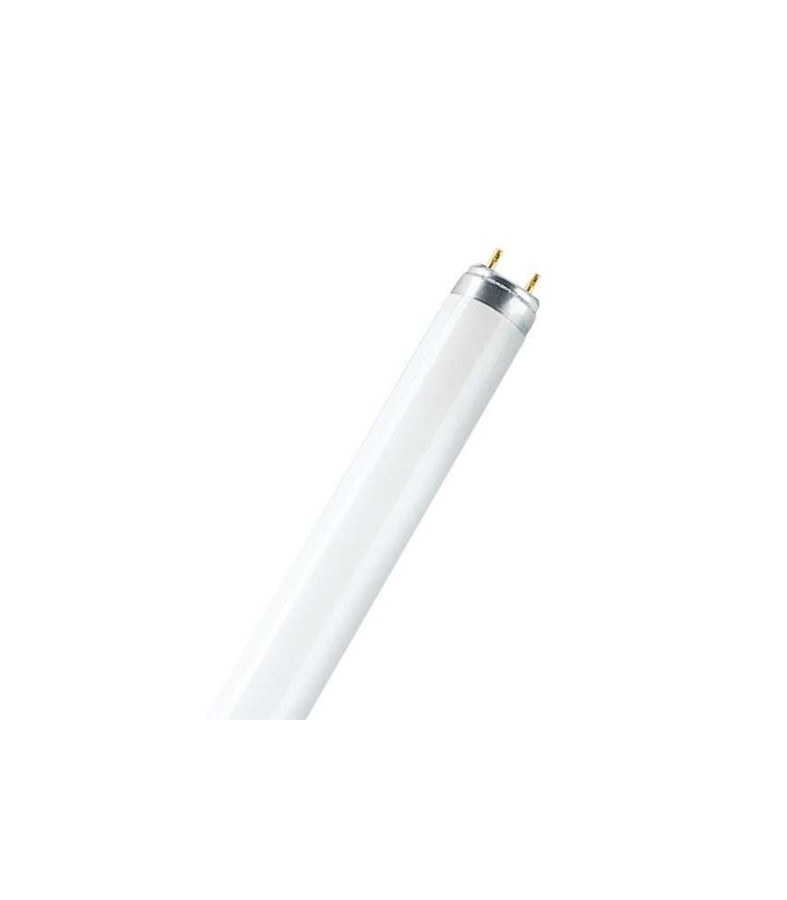 Neon tube l16w/840 osram-g13 