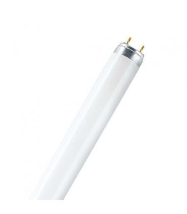 Lampada fluorescente a spettro completo T8 18W 954 G13 Eccellente resa cromatica 1094-2440