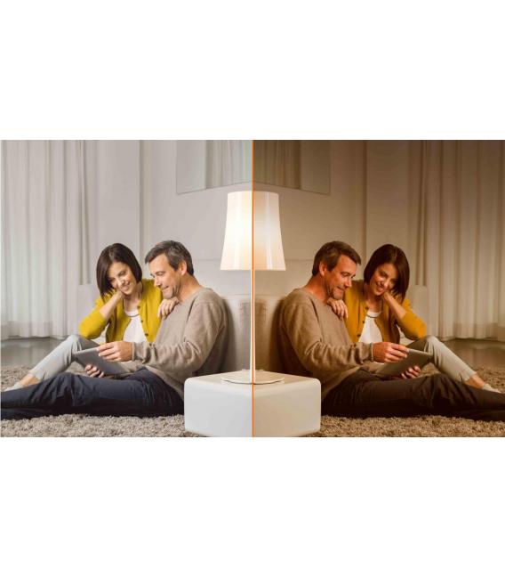 LED-Lampe Superstar Classic Globe GLOWdim 7W - Spherical – foto