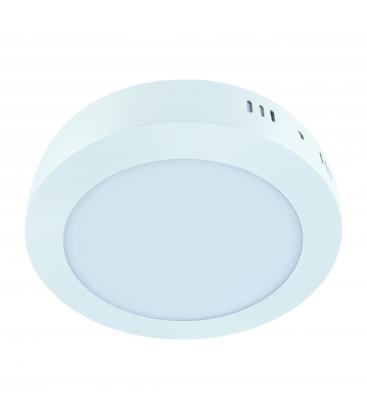 Ceiling LED Luminaire MARTIN C 12W NW White 12209-32188