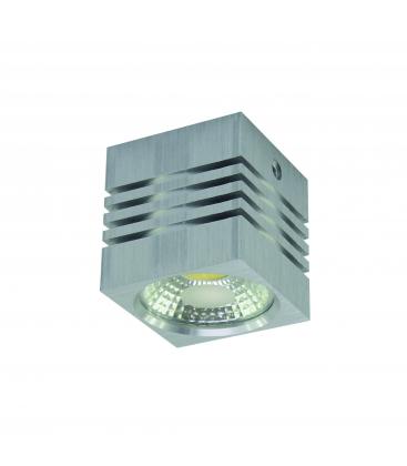 Ceiling LED Luminaire GUSTI 3W NW 12314-32291