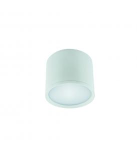 LED ROLEN 3W NW blanco