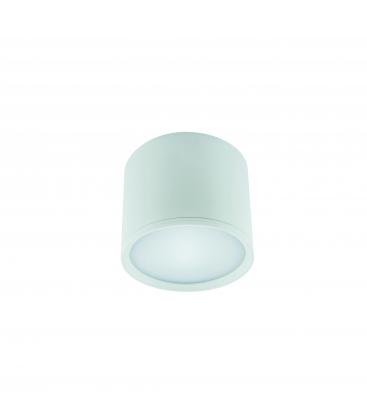 ROLEN 3W Blanco NW Luminaria LED de techo 12317-32294