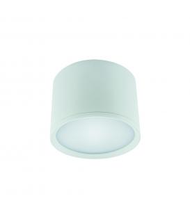 LED ROLEN 7W NW blanco