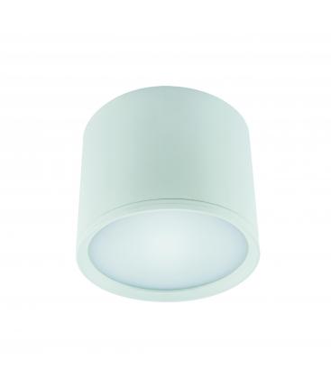 Ceiling LED Luminaire ROLEN 10W NW White Glow 12319-32296