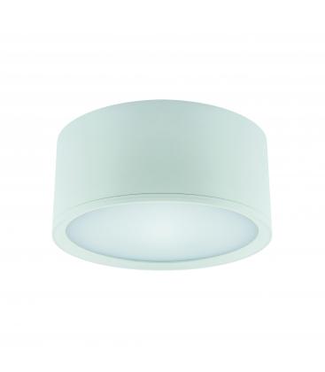 Luminaria LED de techo ROLEN 15W NW White Glow 12320-32297