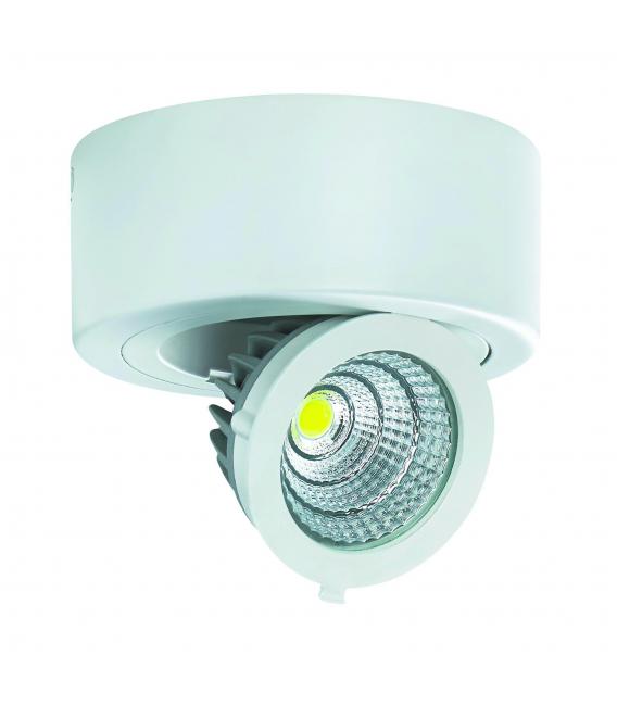 Stropna svetilka COB LED 6W bela NW - Stropne svetilke – fotografija
