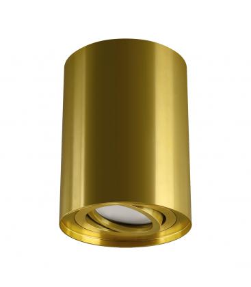 Golden HARY C GU10 Ceiling Luminaire 13633-38238