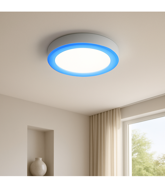 ALDEN C 6W 3W NW Campi luminosi doppi - Apparecchio a soffitto – Foto