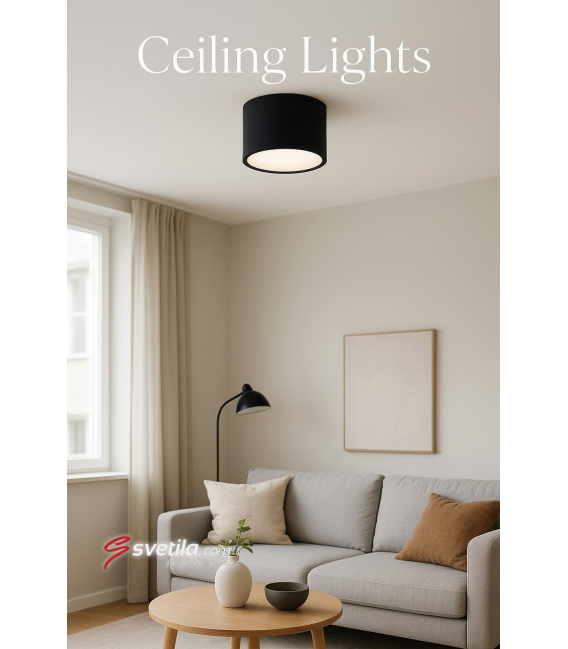 ROLEN 3W NW Black Ceiling LED Luminaire – photo