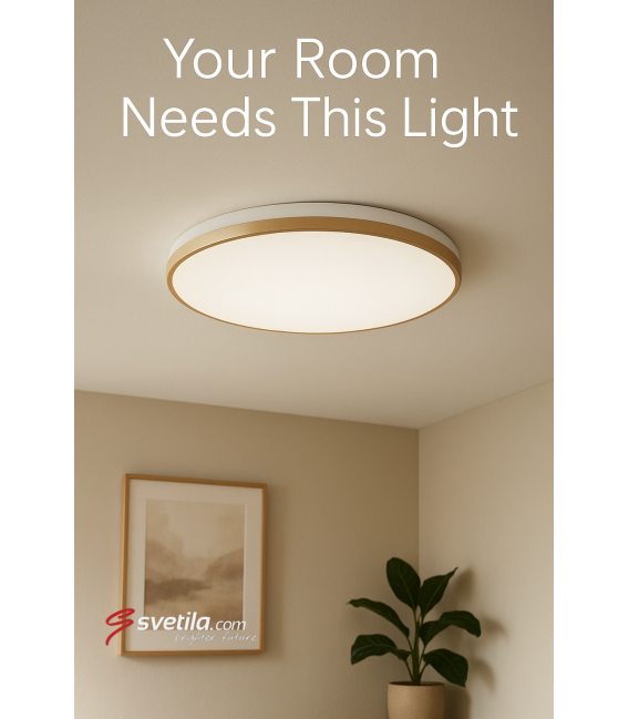 Ceiling LED Luminaire LINUS C 12W NW – photo