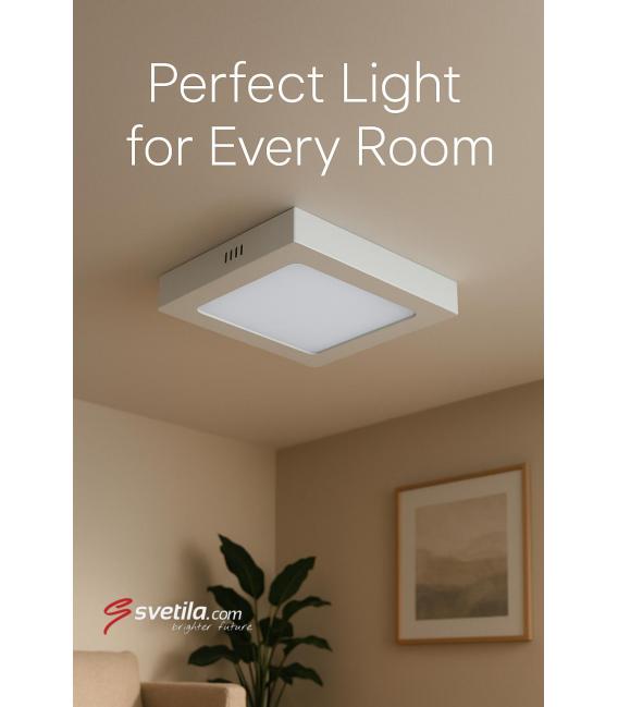 Ceiling LED Luminaire MARTIN D 6W NW - White – photo