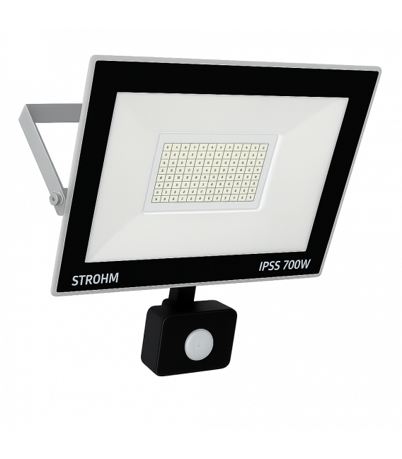 LED reflektor s senzorjem gibanja 100W Grey CW – fotografija