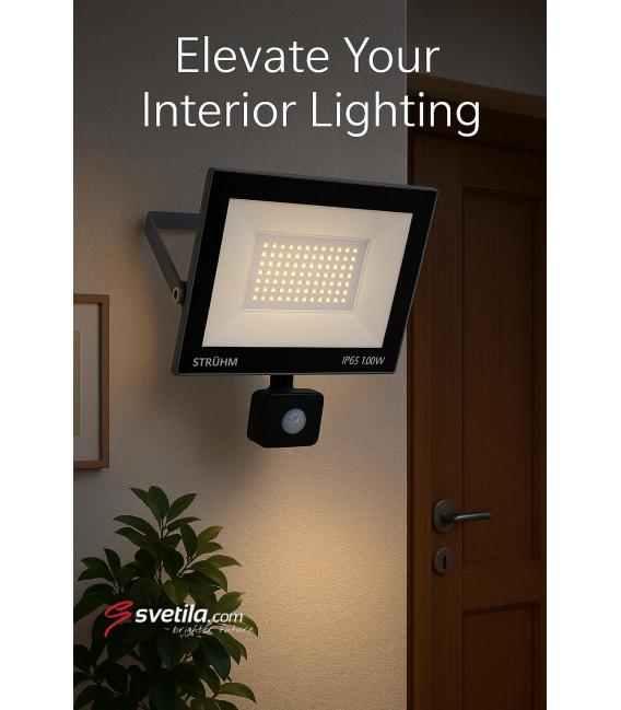 Spot LED avec détecteur de mouvement 100W Gris CW – Photo