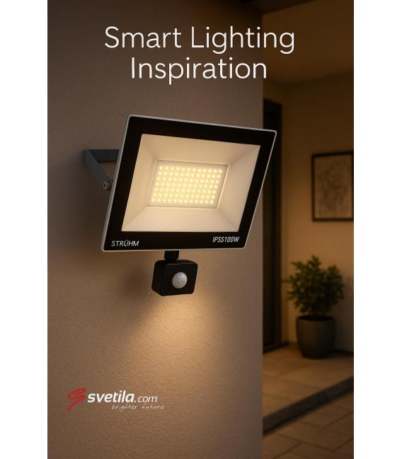 LED reflektor s senzorjem gibanja 100W Grey CW – fotografija