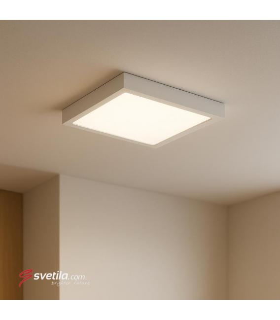LED-Deckenleuchte MARTIN D 6W NW - Weiß – foto