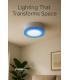 LED ALDEN C 3W+3W NW dual light fields 12202-38861