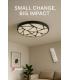 LED MINERAL C 48W remote control 12646-39009