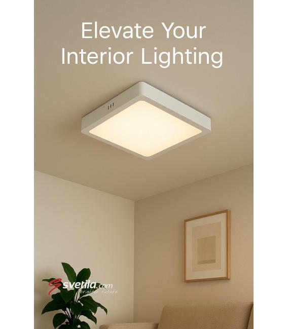 Ceiling LED Luminaire MARTIN D 24W NW - White – photo