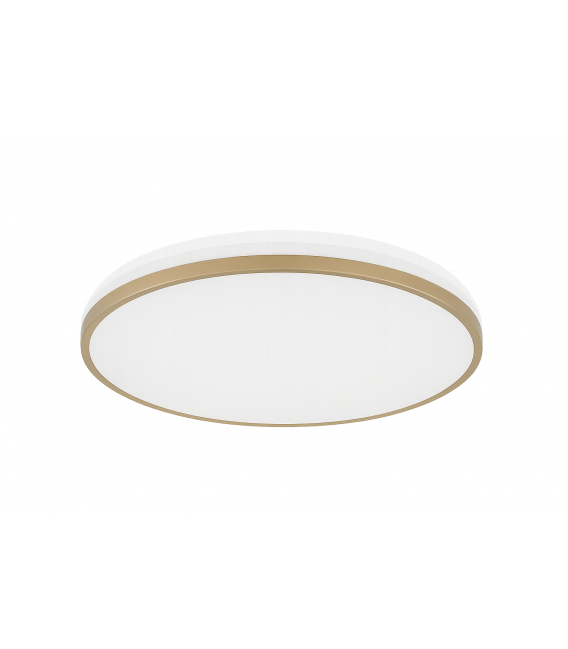Ceiling LED Luminaire LINUS C 12W NW – photo