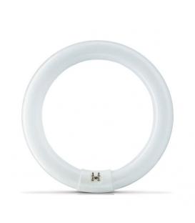 Philips BL TL-E PRO 22W 10 G10Q