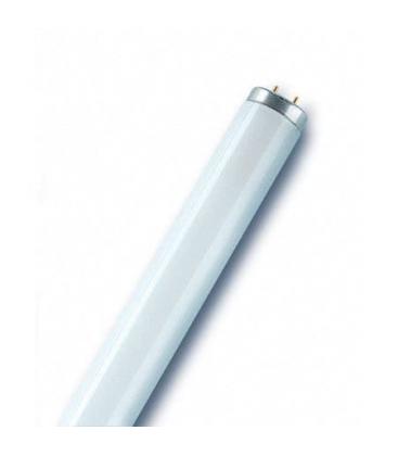 Лампа Osram l 40w/640 (20) g13 холодно-белый свет (4050300014708)