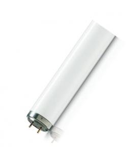 TL-D 18W 52 UV-B Terapia medica itterizia